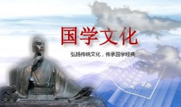 众安保险：数字化引领保险行业未来