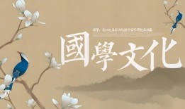 众安保险的五大创新举措，你知道吗？